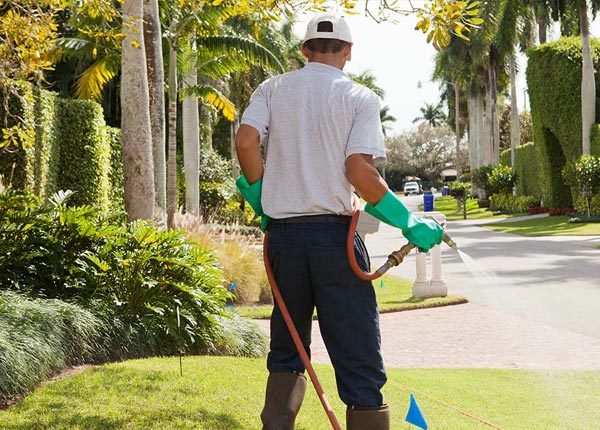 About Hebo OR Pest Control Pros